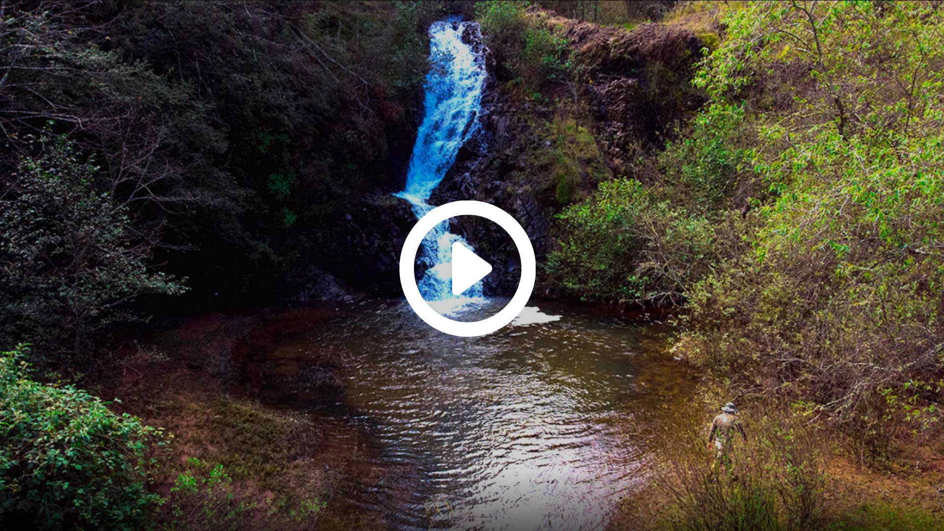 Parque Ecológico La Planta